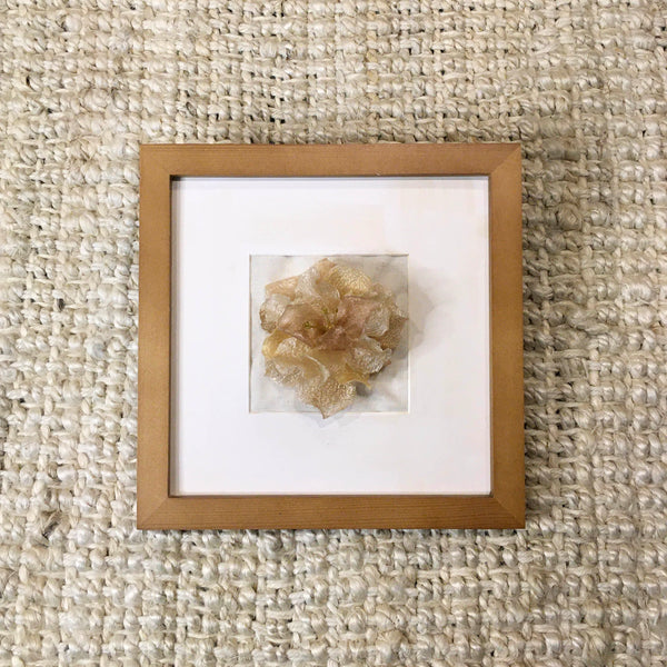 Camellia Summer Breeze In Frame | Butter