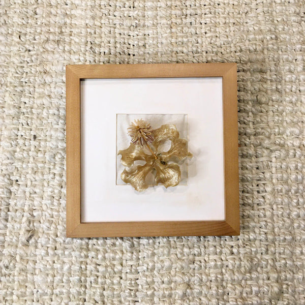 Hibiscus In Frame | Butter