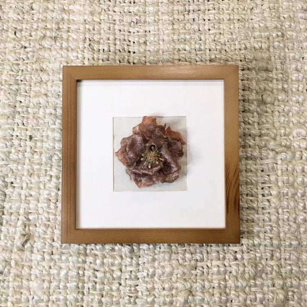 Camellia Moonlight Bay In Frame | Mauve