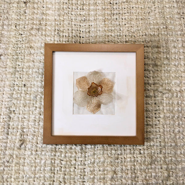 Daffodil In Frame | Almond