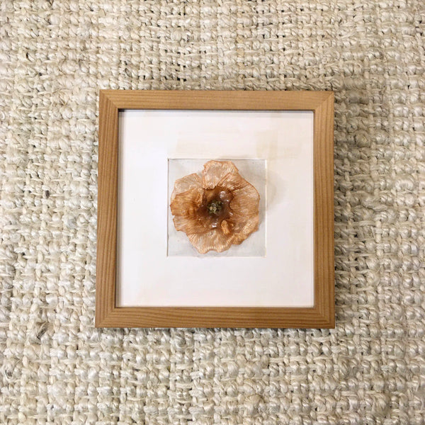 Jonquil Variant In Frame | Rust