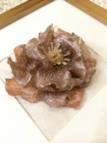 Agar Camellia by Yi Hsuan Sung at Flora Gild
