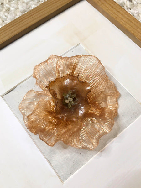 Jonquil Variant In Frame | Rust