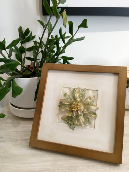 Daisy Gerbera In Frame | Mint