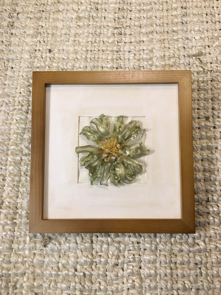 Daisy Gerbera In Frame | Mint