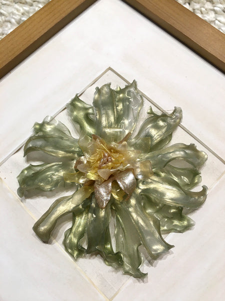 Daisy Gerbera In Frame | Mint