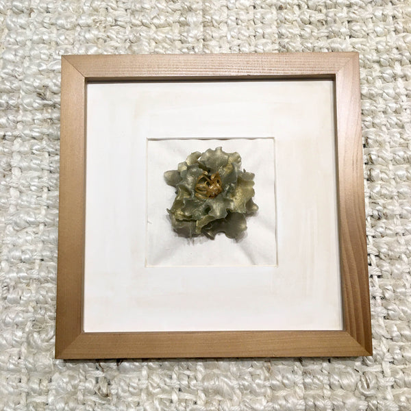 Camellia Setsugekka In Frame | Mint