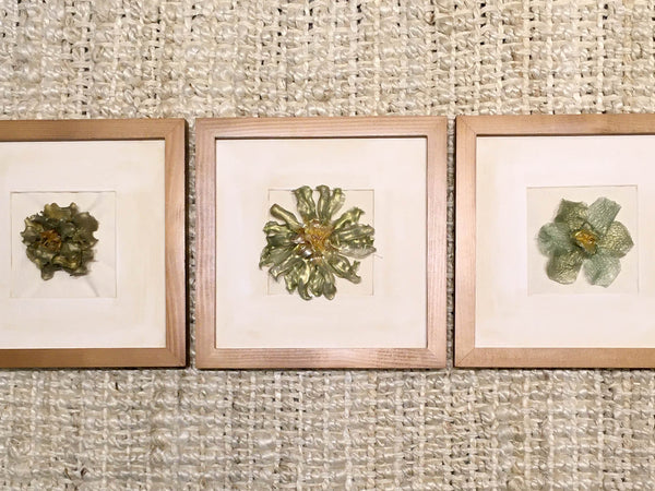 Camellia Setsugekka In Frame | Mint