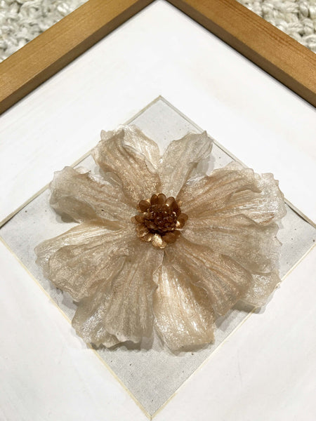 Cosmos In Frame | Almond