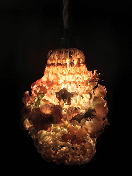 Sanguine | 10"x10"x8"