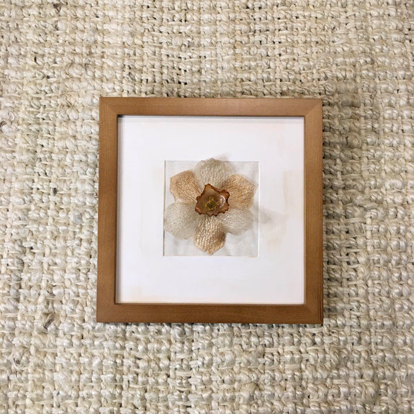 Daffodil In Frame | Almond