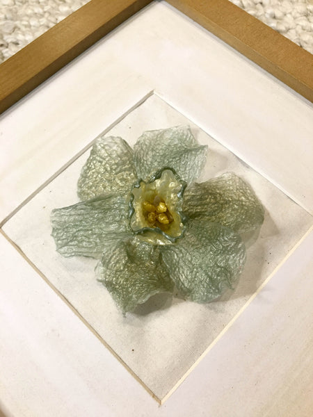 Daffodil In Frame-S | Mint