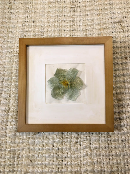 Daffodil In Frame-S | Mint