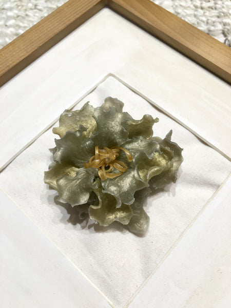 Camellia Setsugekka In Frame | Mint