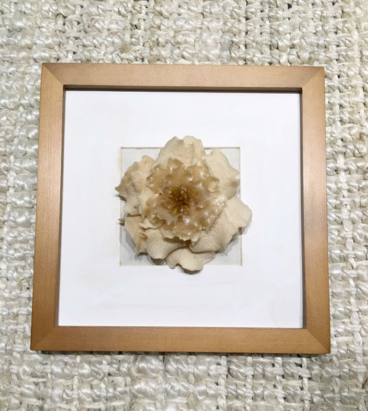 Camellia Moonlight Bay In Frame | Whipped Cream