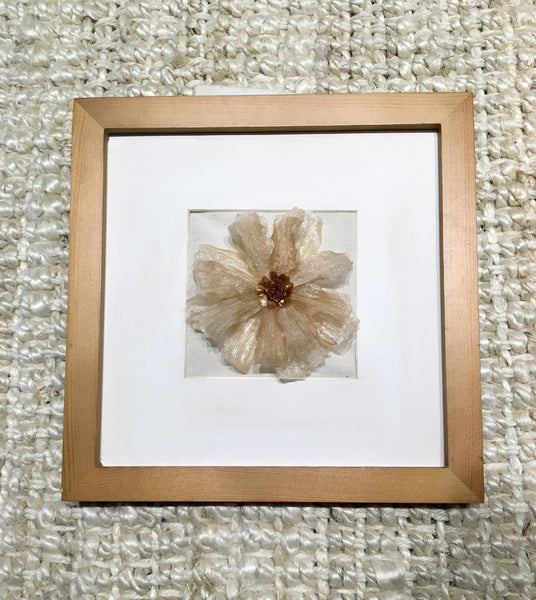 Cosmos In Frame | Almond